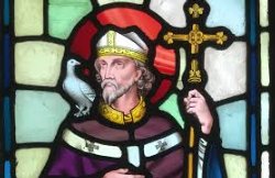 Saint David of Wales visual
